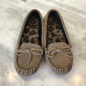 Zealand Misty moccasin